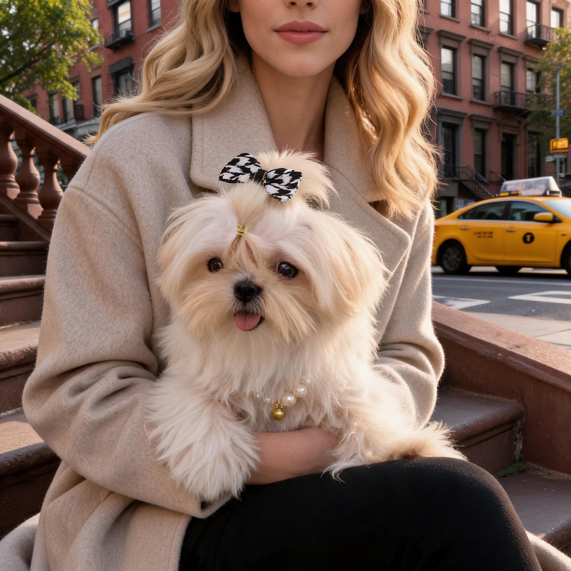 Fluffy Maltese dog wearing SilkyCo preppy style houndstooth small dog hair bow with crystal accents; held by woman in beige coat, NYC brownstones and yellow taxi in background
